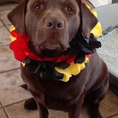 Kerstins Egmond aan Zee