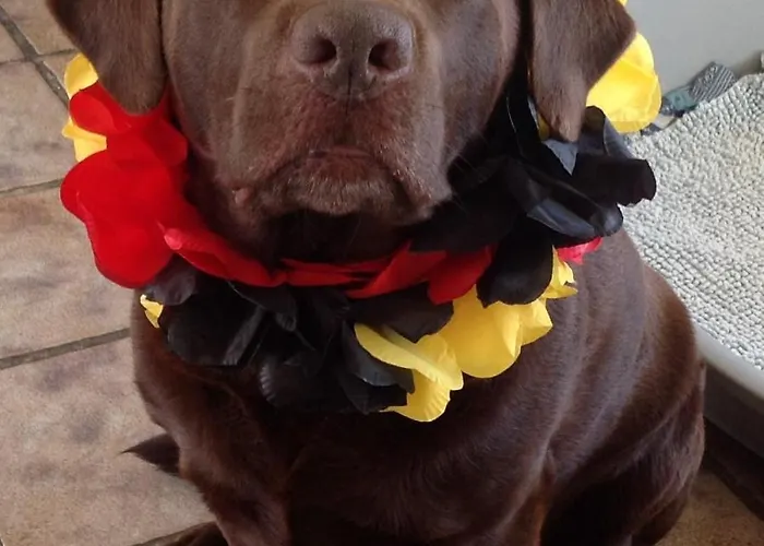 Kerstins Egmond aan Zee